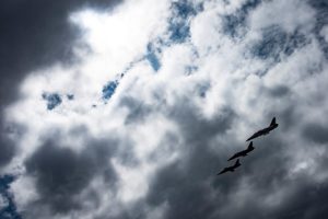 Photo of dark cloudy skies with three jet airplanes flying in formation.