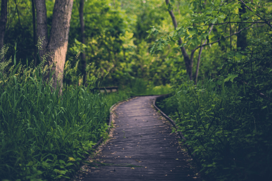 Nature path